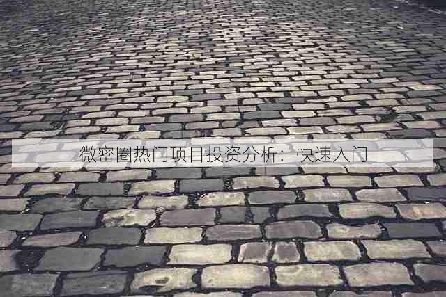 微密圈热门项目投资分析:快速入门