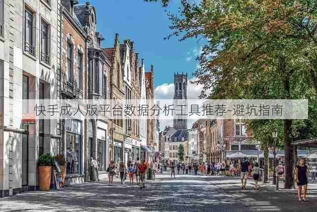 快手成人版平台数据分析工具推荐-避坑指南