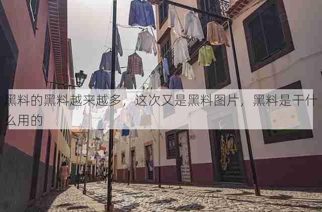 黑料的黑料越来越多,这次又是黑料图片,黑料是干什么用的