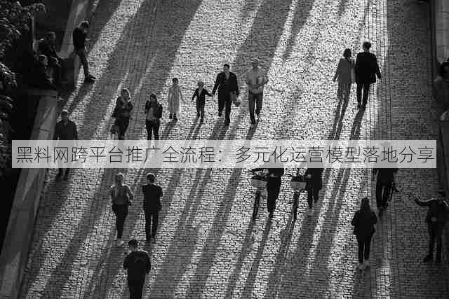 黑料网跨平台推广全流程:多元化运营模型落地分享