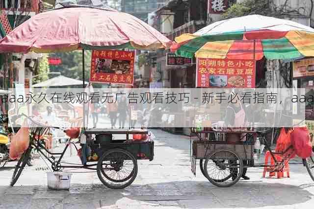 aaa永久在线观看无广告观看技巧 - 新手必看指南,aaaq