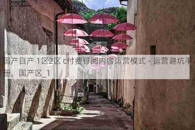 国产自产 1区2区 c付费订阅内容运营模式 - 运营避坑手册,国产区_1