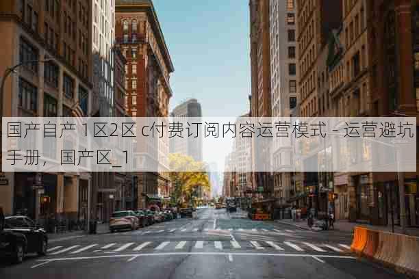 国产自产 1区2区 c付费订阅内容运营模式 - 运营避坑手册,国产区_1