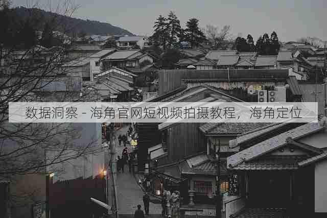 数据洞察 - 海角官网短视频拍摄教程,海角定位