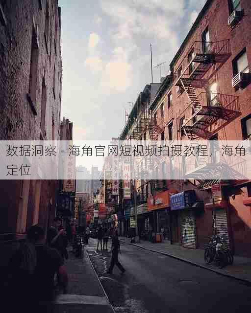 数据洞察 - 海角官网短视频拍摄教程，海角定位
