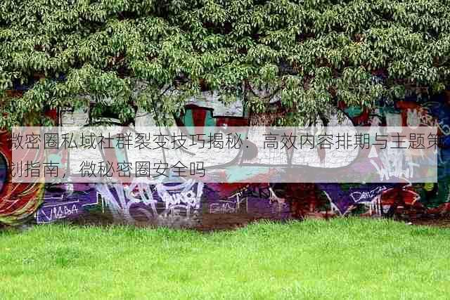 微密圈私域社群裂变技巧揭秘:高效内容排期与主题策划指南,微秘密圈安全吗