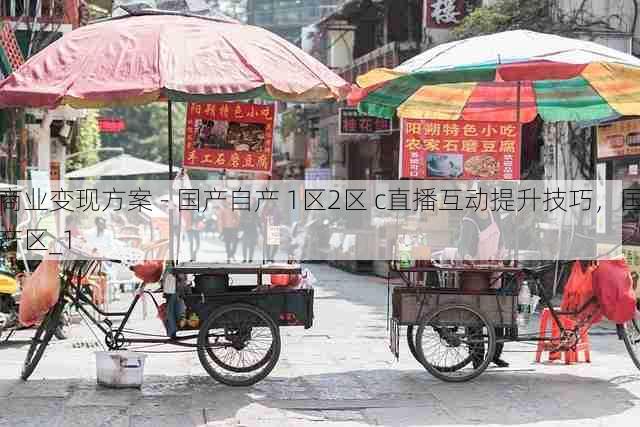 商业变现方案 - 国产自产 1区2区 c直播互动提升技巧,国产区_1