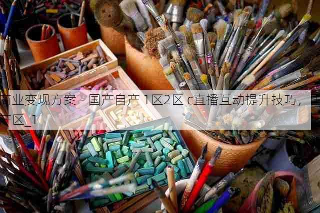 商业变现方案 - 国产自产 1区2区 c直播互动提升技巧,国产区_1