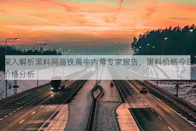 深入解析黑料网高铁黄牛内幕专家报告,黑料价格今日价格分析