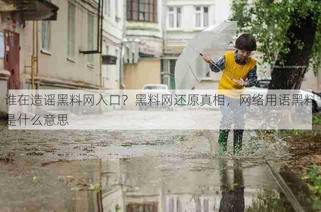 谁在造谣黑料网入口?黑料网还原真相,网络用语黑料是什么意思