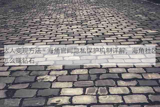 达人变现方法 - 海角官网隐私保护机制详解,海角社区怎么赚钻石