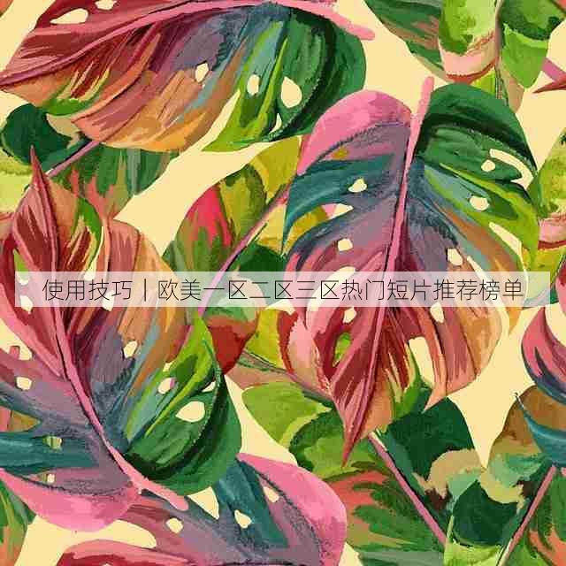 使用技巧|欧美一区二区三区热门短片推荐榜单