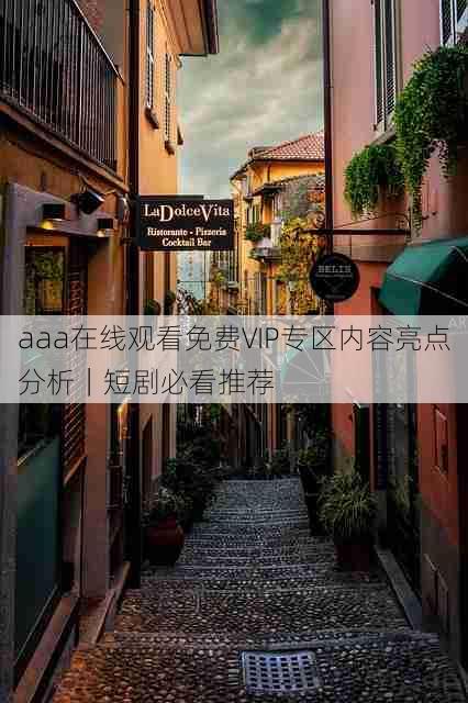 aaa在线观看免费VIP专区内容亮点分析|短剧必看推荐