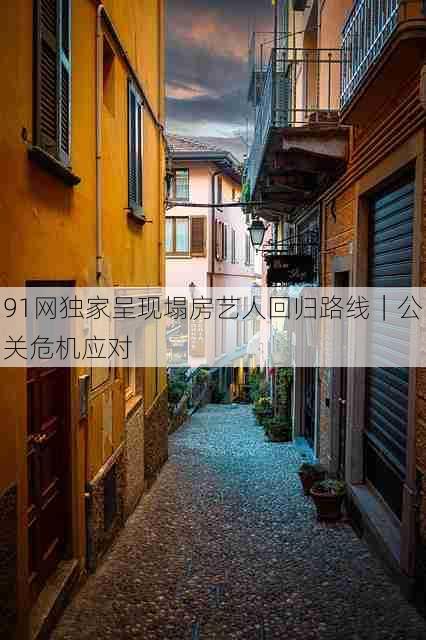 91网独家呈现塌房艺人回归路线|公关危机应对