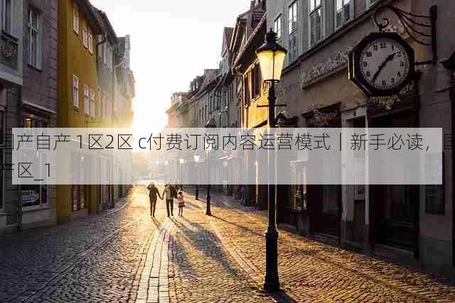 国产自产 1区2区 c付费订阅内容运营模式|新手必读,国产区_1