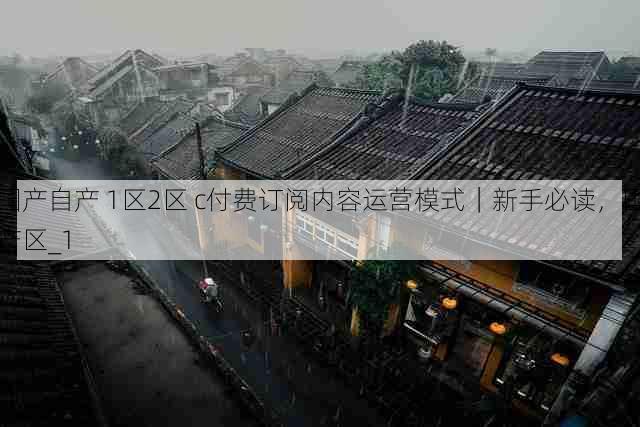 国产自产 1区2区 c付费订阅内容运营模式|新手必读,国产区_1