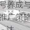 国产自产 1区2区 c账号养成与推广策略 - 达人成长路线,国产区_1