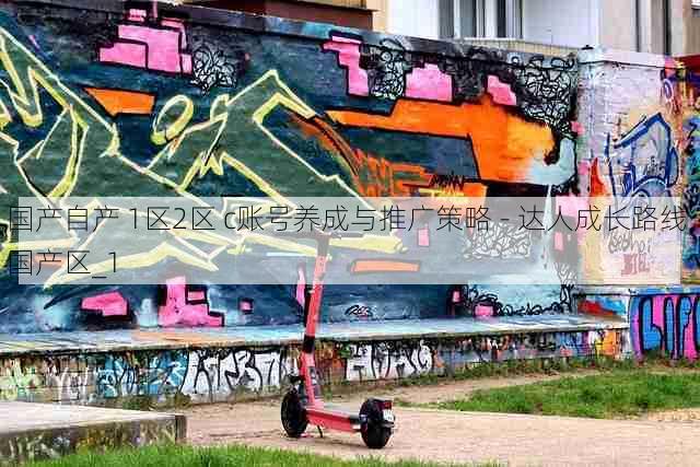 国产自产 1区2区 c账号养成与推广策略 - 达人成长路线,国产区_1