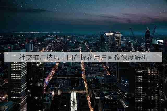 社交推广技巧|国产探花用户画像深度解析