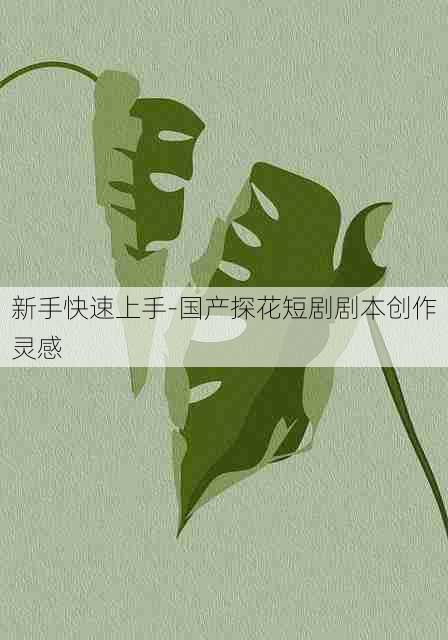 新手快速上手-国产探花短剧剧本创作灵感