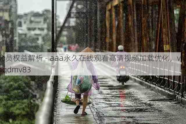会员权益解析 - aaa永久在线观看高清视频加载优化,vip aqdmv83
