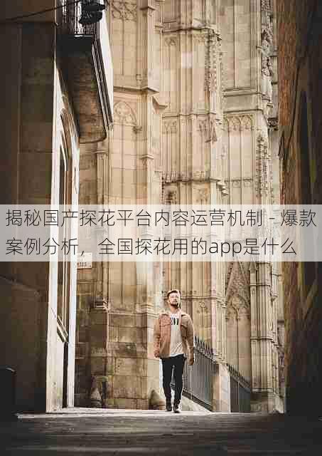 揭秘国产探花平台内容运营机制 - 爆款案例分析,全国探花用的app是什么