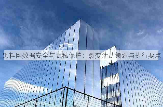黑料网数据安全与隐私保护:裂变活动策划与执行要点