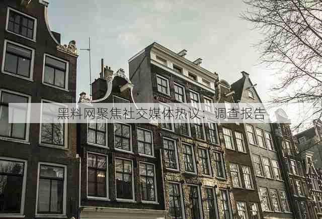 黑料网聚焦社交媒体热议:调查报告