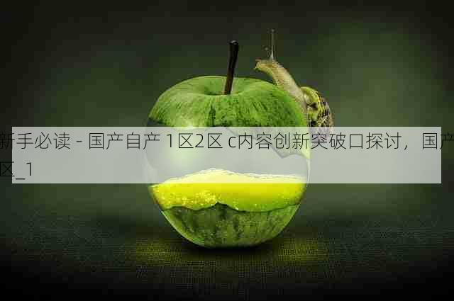 新手必读 - 国产自产 1区2区 c内容创新突破口探讨,国产区_1