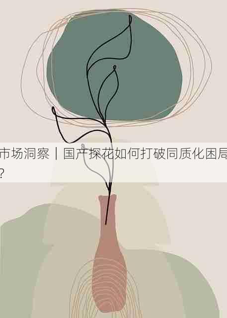 市场洞察|国产探花如何打破同质化困局?