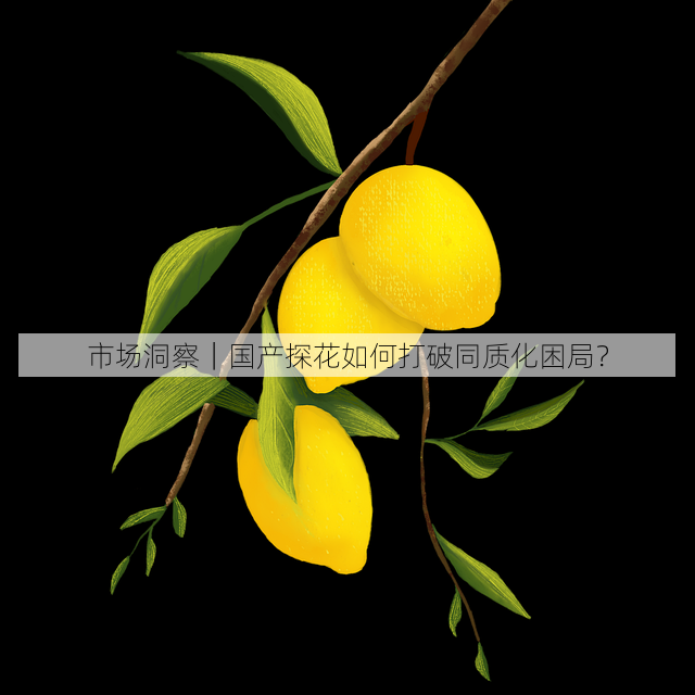 市场洞察|国产探花如何打破同质化困局?