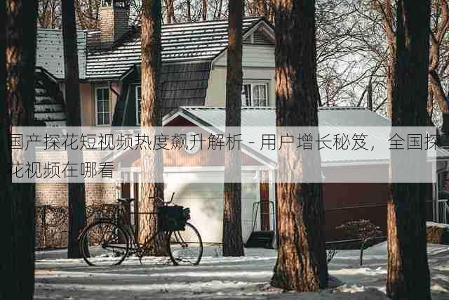 国产探花短视频热度飙升解析 - 用户增长秘笈,全国探花视频在哪看