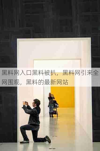 黑料网入口黑料被扒,黑料网引来全网围观,黑料的最新网站